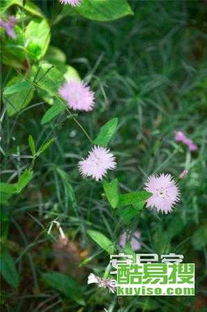 舞美灯光与专业搭建 打造难忘的企业年会活动